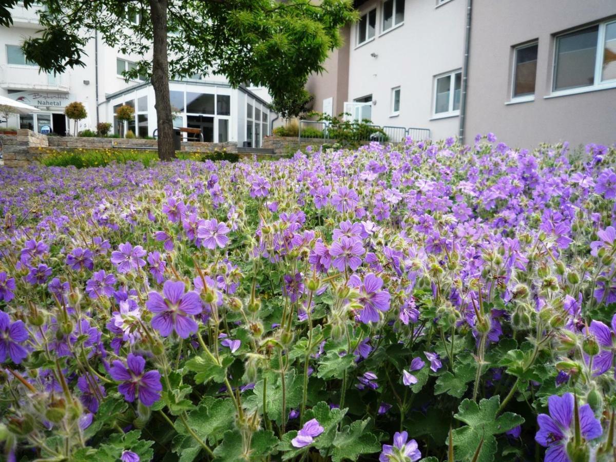 Hotel Nahetal Gensingen Kültér fotó